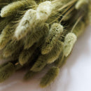Botte fleurs séchées Lagurus Vert olive