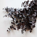 eucalyptus-stabilise