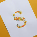 flowrette-fleurs-pressee-herbier-diy