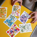 flowrette-fleurs-pressee-orange-jaune