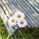 fleur-papier-flowrette-design-gerbera-blanc