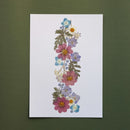 herbier-fait-main-fleurs-bleues-roses