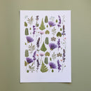 herbier-fleurs-pressees-flowrette