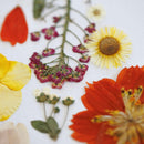 herbier-fleurs-pressees-flowrette