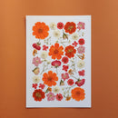 herbier-fait-main-orange