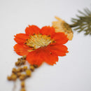 herbier-fleurs-pressees-flowrette