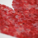 herbier-fait-main-fleurs-coeur