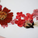 herbier-fleurs-pressees-flowrette