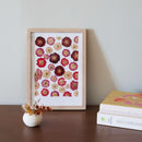 herbier-fait-main-fleurs