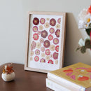 herbier-fait-main-fleurs