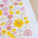 herbier-fleurs-sechee-flowrette-teintes-ocre