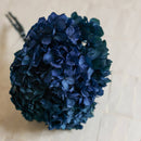 Hortensia Bleu