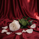 Stabilisiertes weißes englisches Rosa