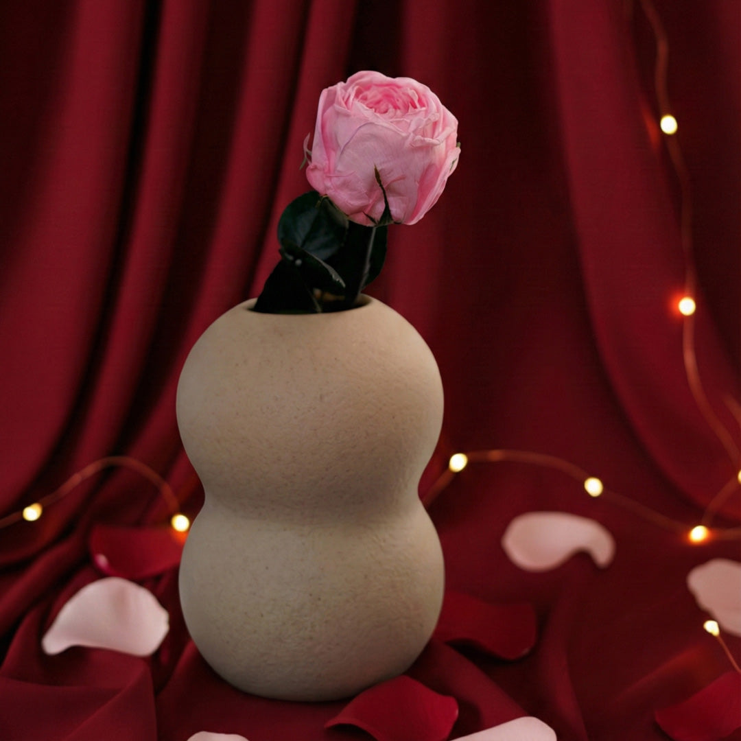 English Pink Stabilisierte Rosa