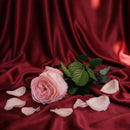 English Pink Stabilisierte Rosa