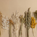 kit-diy-couronne-murale-fleurs-sechees