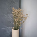 botte-fleurs-sechees-limonium-blanc-flowrette