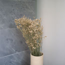 botte-fleurs-sechees-limonium-blanc-flowrette