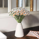 belles-camomilles-papier