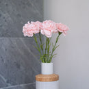 Flowrette fleurs artificielles pretium. Oeillet rose poudré flowrette