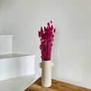 Botte fleurs séchées Phalaris Magenta