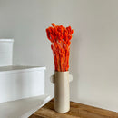 Botte fleurs séchées Phalaris Orange foncé