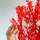 Botte fleurs stabilisées Ruscus Orange foncé