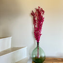 Botte fleurs stabilisées Ruscus Violet