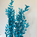 Botte fleurs stabilisées Ruscus Turquoise