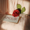 Coffret fleurir l’Amour