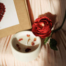 Coffret L’étincelle