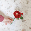 Rose Queen en papier rouge