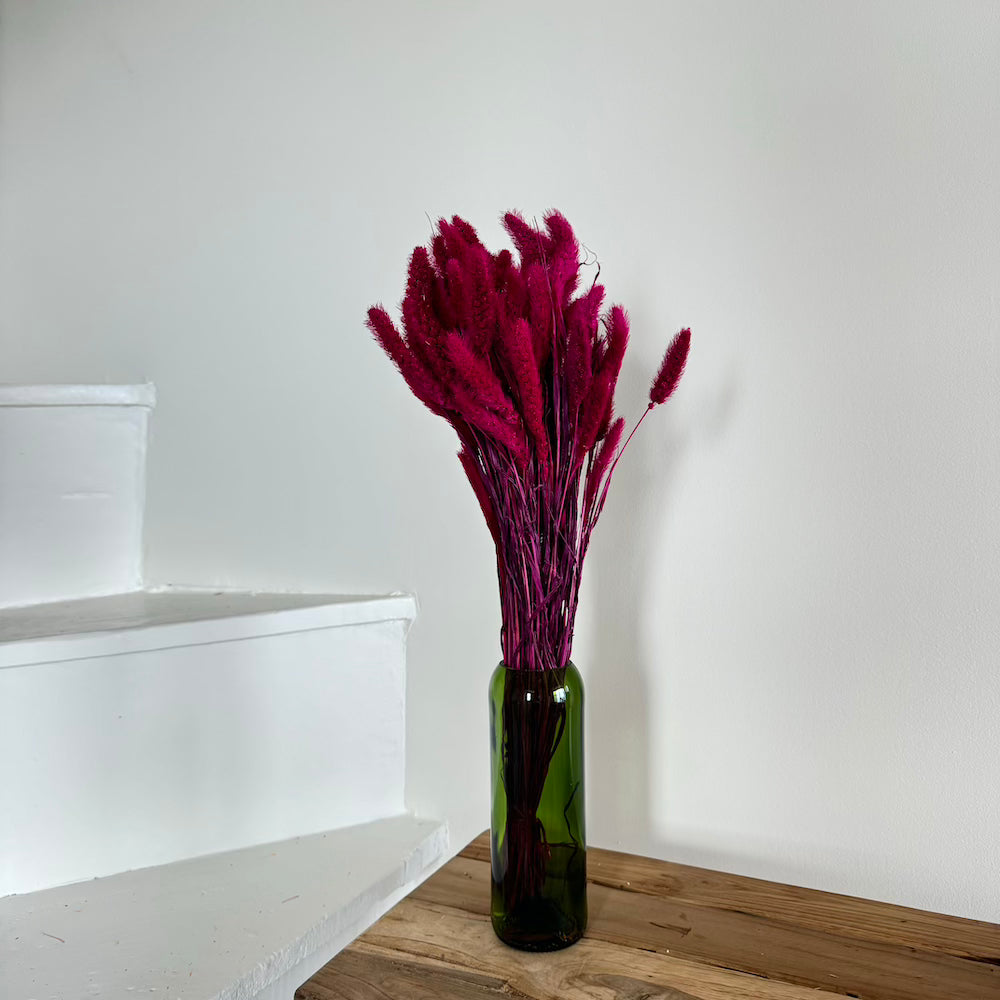 Botte fleurs séchées Sétaire Magenta