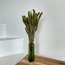 Botte fleurs séchées Sétaire Vert olive