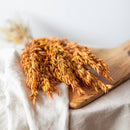 botte-fleurs-sechees-avoine-orange-flowrette