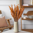 botte-fleurs-sechees-avoine-orange-flowrette