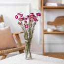 botte-fleurs-sechees-immortelle-rose-flowrette