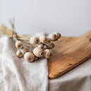 Botte fleurs séchées Pavots séchés