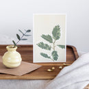 carte-postale-ficus-el-tineke-agathe-marty