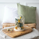 flowrette-cloche-fleurs-sechees-ambroise