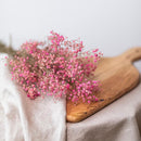 botte-fleurs-sechees-gypsophile-rose-flowrette