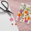 kit-diy-herbier-lettre