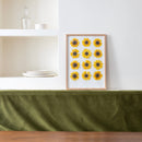 herbier-fleurs-de-tournesol