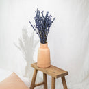 lavande-bleue-botte-fleurs-sechees