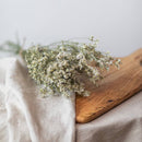 botte-fleurs-sechees-limonium-blanc-flowrette