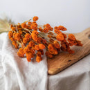 botte-fleurs-sechees-phalaris-orange-flowrette