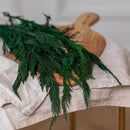 botte-sapin-stabilise